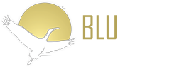 Blu Heron Financial